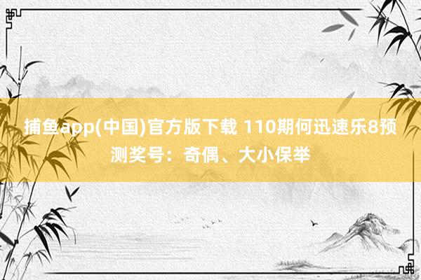 捕鱼app(中国)官方版下载 110期何迅速乐8预测奖号：奇偶、大小保举