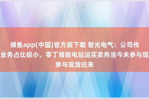 捕鱼app(中国)官方版下载 智光电气：公司传统售电业务占比极小，零丁储能电站运买卖务当今未参与现货往来