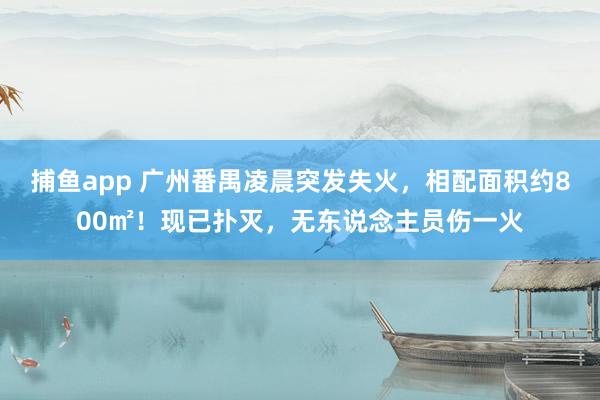 捕鱼app 广州番禺凌晨突发失火，相配面积约800㎡！现已扑灭，无东说念主员伤一火