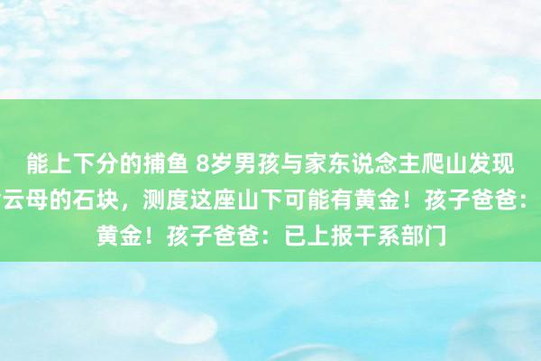 能上下分的捕鱼 8岁男孩与家东说念主爬山发现大片问荆草和含云母的石块，测度这座山下可能有黄金！孩子爸爸：已上报干系部门