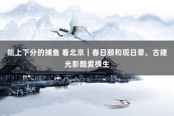 能上下分的捕鱼 看北京｜春日颐和现日晕，古建光影酷爱横生