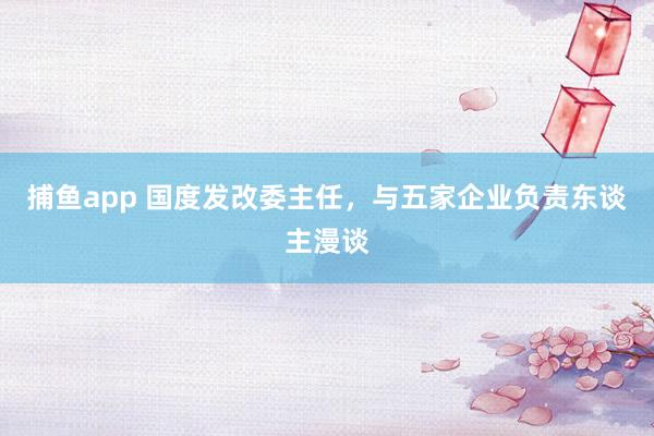 捕鱼app 国度发改委主任，与五家企业负责东谈主漫谈