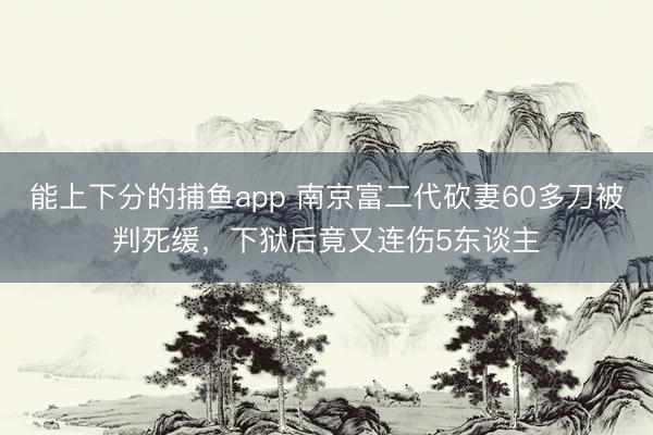 能上下分的捕鱼app 南京富二代砍妻60多刀被判死缓，下狱后竟又连伤5东谈主